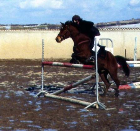 Le 29 janvier 2006